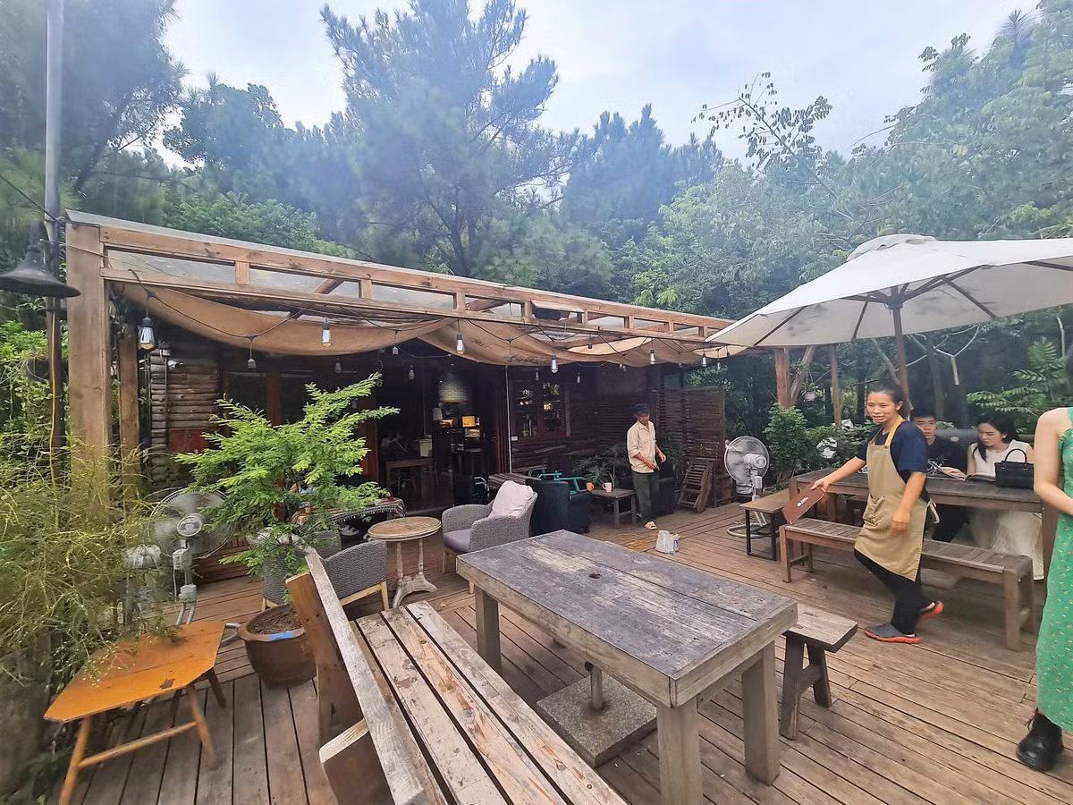 Soc Son: Loat villas, homestay pha rung phong ho... Co quan dia phuong tu choi lam viec?-Hinh-3