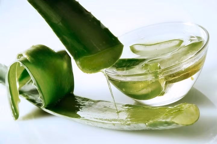 Nha đam làm dịu và giảm viêm xung quanh khu vực mà răng khôn mọc. Thoa gel nha đam vào vị trí miệng của bạn bị sưng lên. Cách giảm đau răng khôn này áp dụng hoạt động của tinh chất nha đam, làm mát khu vực đau và giúp bạn giảm đau tạm thời.