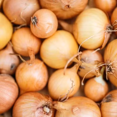 Hành chứa quercetin, một chất chống oxy hóa với các đặc tính kháng virus và kháng viêm.
