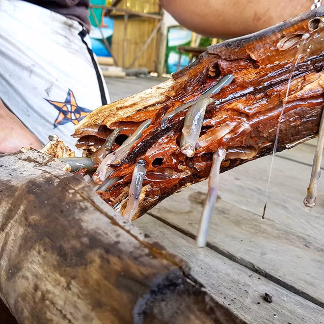 Món ăn kinh dị này thường được kèm với giấm hoặc một loại sốt làm từ trái cây họ cam quýt.