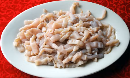 Khi bị bắt lên khỏi mặt biển, chúng thu mình lại tròn như một quả bóng, để lộ cái miệng bé như lỗ van bơm hơi. Loài này được khai thác từ tháng 3 đến tháng 7 hàng năm.