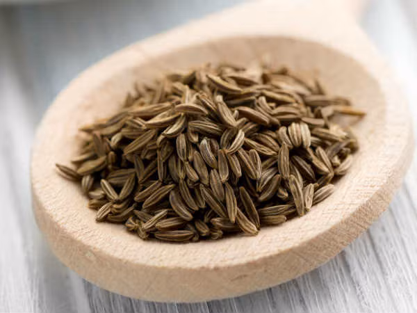 Sở dĩ hạt thì là có tác dụng tan mỡ bụng là do chúng giúp đốt cháy calo. Các chất dinh dưỡng và chất chống oxy hóa có trong hạt thì là có tác dụng tăng cường sự trao đổi chất, do đó giúp cơ thể đốt cháy calo, làm tan mỡ bụng nhanh chóng.