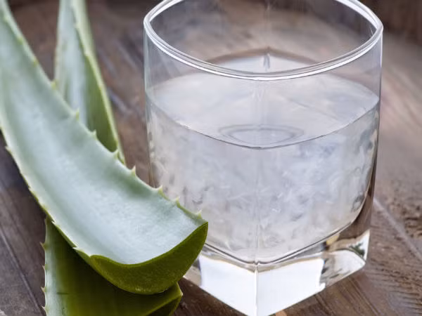 Nước ép nha đam: Nha đam chứa các đặc tính chống viêm giúp giảm viêm đường tiêu hóa và có lợi cho những người bị hội chứng ruột kích thích. Nha đam còn giúp chữa bệnh tiêu hóa kém, táo bón và thải độc ra khỏi cơ thể.