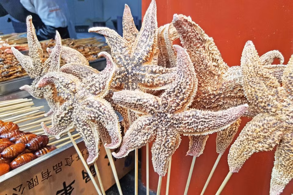 Mọi người ở nơi khác thường coi sao biển không phải là một loại thực phẩm nhưng ở Trung Quốc, sao biển chiên giòn lại trở thành món ăn được bày bán rất phổ biến.