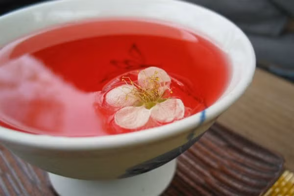 Trà Omija: Tên trà omija, có nghĩa là “năm hương vị berry”. Sở dĩ có tên gọi như vậy bởi khi uống omija bạn có thể cảm nhận được năm hương vị: ngọt, chua, mặn, đắng và cay của trái berry. Tại Hàn Quốc, trái berry thường được dùng để chế biến thành trà cùng với mật ong, cánh hoa và bột đậu xanh.