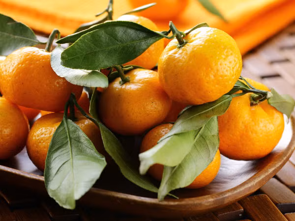 Cam quýt: Sự kết hợp của chất chống oxy hóa cao (vitamin C) và flavonoid có trong cam, quýt khiến nó trở thành loại hoa quả có tác dụng tăng cường sức khoẻ. Nó cũng là loại quả giúp làm giảm bớt chứng ho, khản tiếng - một chứng bệnh thường xuất hiện trong mùa đông. Ảnh: Internet.