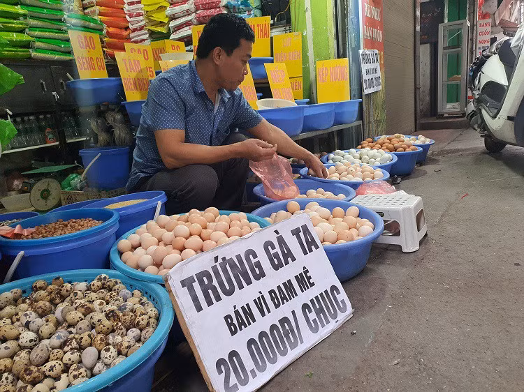 Trứng gà bán với giá “rẻ chưa từng có”, người nuôi nói gì? - Hình 3 Trung ga ban voi gia “re chua tung co”, nguoi nuoi noi gi?-Hinh-3