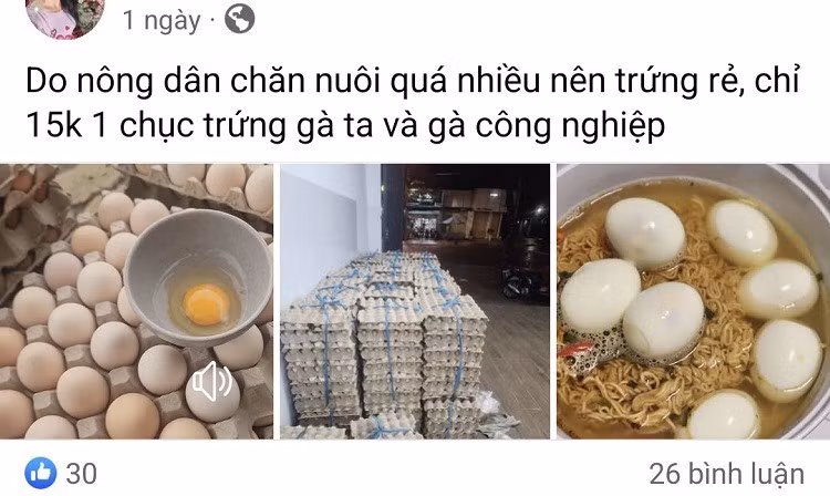Trứng gà bán với giá “rẻ chưa từng có”, người nuôi nói gì? - Hình 2 Trung ga ban voi gia “re chua tung co”, nguoi nuoi noi gi?-Hinh-2