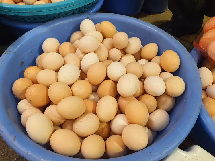 Trứng gà bán với giá “rẻ chưa từng có”, người nuôi nói gì? - Hình 5 Trung ga ban voi gia “re chua tung co”, nguoi nuoi noi gi?-Hinh-5