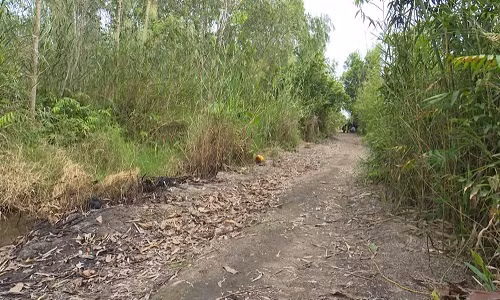 Loi khai lanh nguoi cua nghi pham sat hai be gai, chon xac phi tang