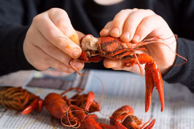 Tôm hùm đất là loài động vật giáp xác nước ngọt giống như con tôm hùm càng nhỏ, về phân loại học, nó là thành viên của siêu họ Astacoidea và Parastacoidea. Chúng có xuất xứ từ Bắc Mỹ và có tới 500 loài khác nhau. Có loài, con lớn nhất chỉ bằng ngón tay, nhưng cũng có loài dài gần 01 mét, nặng đến 5 kg. Vì có nhiều giống loài nên chúng cũng có nhiều tên gọi khác nhau và tên chung của loài này là crayfish.