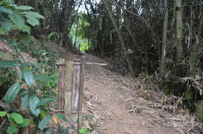 Nhung phu nu 6, 7 lan lay chong o Hin Dam