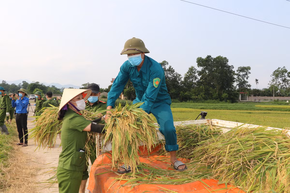 Anh Nguyễn Văn Trưởng, người dân xã Yên Thạch, huyện Sông Lô chia sẻ: “Tôi cảm thấy rất vui và xúc động trước việc làm của cán bộ chiến sỹ Công an địa phương đã tranh thủ thời gian để về cơ sở giúp dân thu hoạch lúa. Việc làm của các anh Công an rất đáng trân trọng”. 