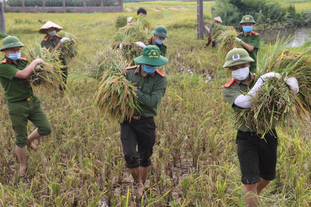 Chiều ngày 18/5/2021, dưới cái nắng 37 độ C, hàng chục cán bộ Công an huyện, huyện đoàn Sông Lô đã có mặt tại xã Yên Thạch, làm việc hăng say, mồ hôi ướt đẫm cảnh phục. Chỉ trong thời gian ngắn, ruộng lúa đã được thu hoạch gọn gàng. Việc làm ấy đã để lại những ấn tượng tốt đẹp về hình ảnh người chiến sĩ Công an với người dân nơi đây. 
