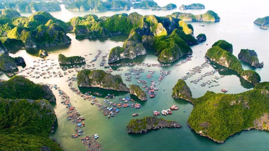 Đảo Cát Bà.