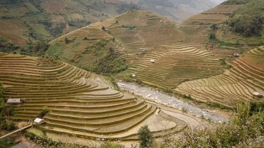  Ruộng bậc thang Than Uyên: Thời điểm lý tưởng để du lịch khu vực này là từ tháng 9 tới tháng 11.