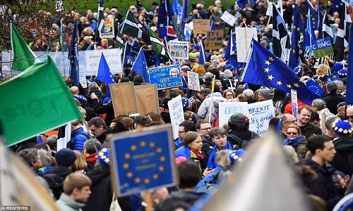 Bien nguoi bieu tinh phan doi Brexit o thu do London-Hinh-9