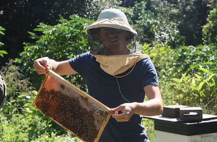 Cư dân trên đảo Pitcairn sinh sống nhờ du lịch, nông nghiệp và độc quyền mật ong. Có tin nói, Nữ hoàng Anh Elizabeth II rất thích mật ong trên đảo này.