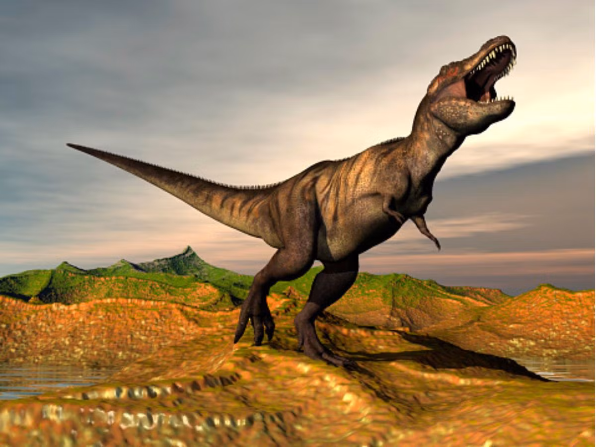 Theo đó, các nhà nghiên cứu xác định trọng lượng của khủng long bạo chúa T-rex có thể lên đến 15 tấn. Trọng lượng này bằng 2 con voi hoặc tương đương một xe bus 2 tầng ở London, Anh.