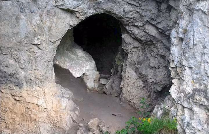 Gen của người Denisova mang một số đặc điểm tương tự giống người Neanderthal và 11 giống người hiện đại trên thế giới ngày nay. Đó là bằng chứng của sự đồng huyết. Vậy nên, ADN của người Denisova vẫn tồn tại trong một bộ phận dân số ngày nay.