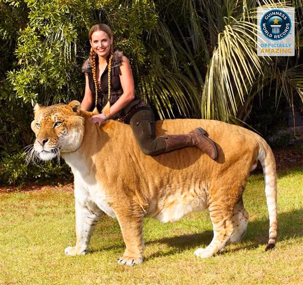 Hercules trở thành gương mặt đại diện cho hoạt động thúc đẩy bảo tồn động vật hoang dã.