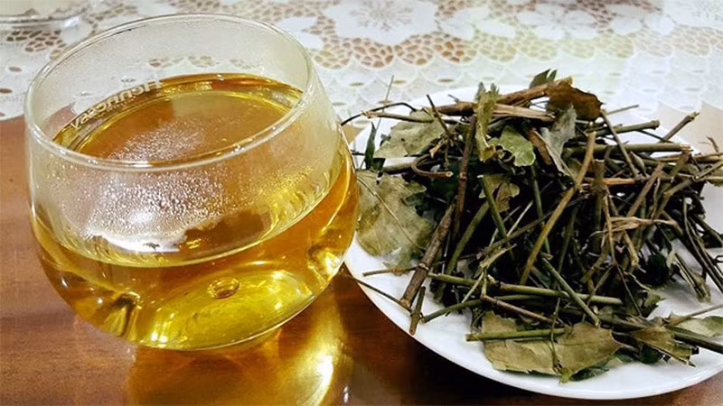 Nước vối và trà xanh loại nào tốt hơn cho sức khỏe? Nuoc voi va tra xanh loai nao tot hon cho suc khoe?