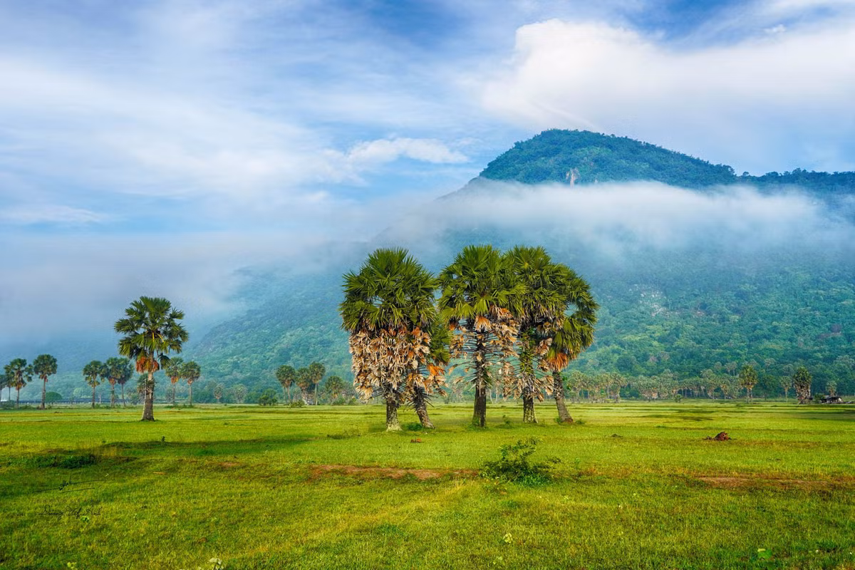 Trung tâm Xúc tiến Thương mại và Đầu tư An Giang cho biết, hoạt động trekking núi Cấm được đơn vị duy trì 2 năm gần đây, thu hút đông đảo du khách và vận động viên ở nhiều nơi đến tham gia. Ảnh: Dương Việt Anh