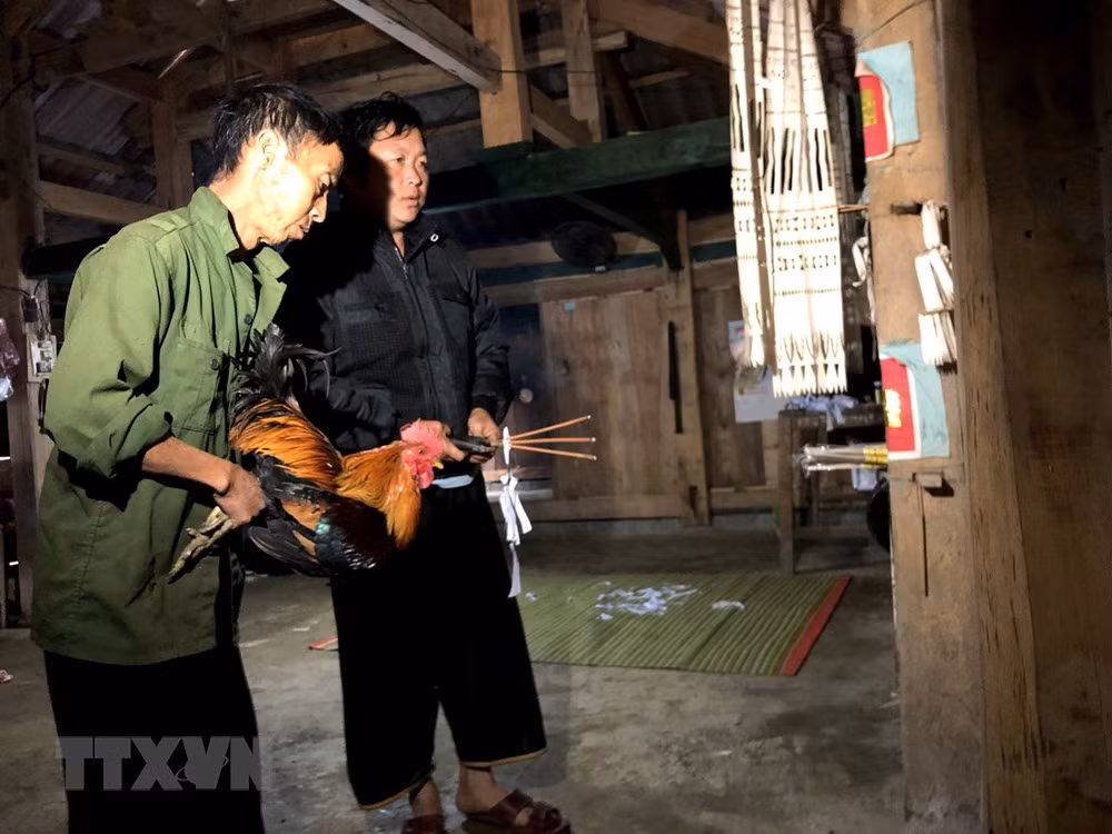 Người Mông ở xã Hồng Ngài, huyện Bắc Yên thực hiện nghi thức cúng tổ tiên.