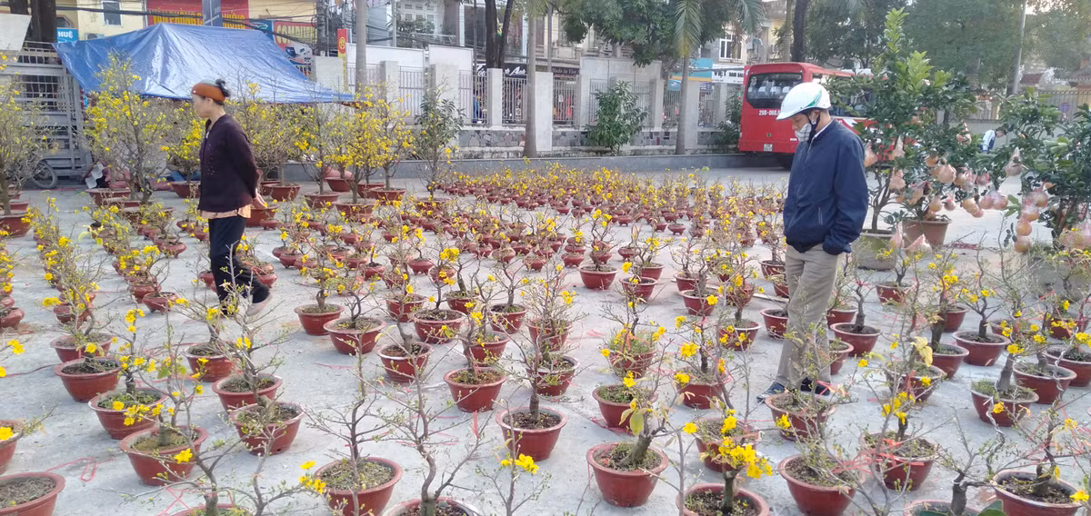 Mức giá được đánh giá ở mức trung bình nên nhiều người dân rất hưởng ứng.