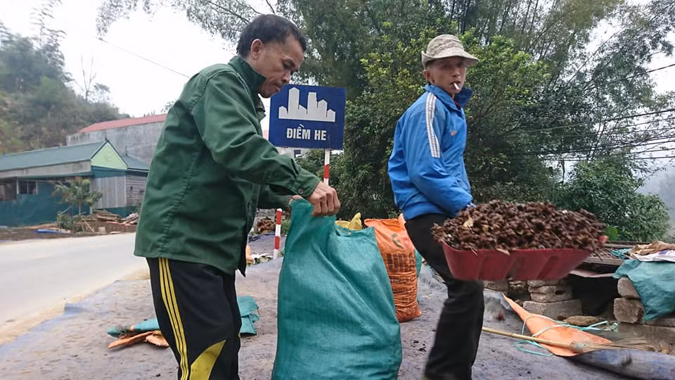 Hồi phơi khô được đóng bao đem đi bán.