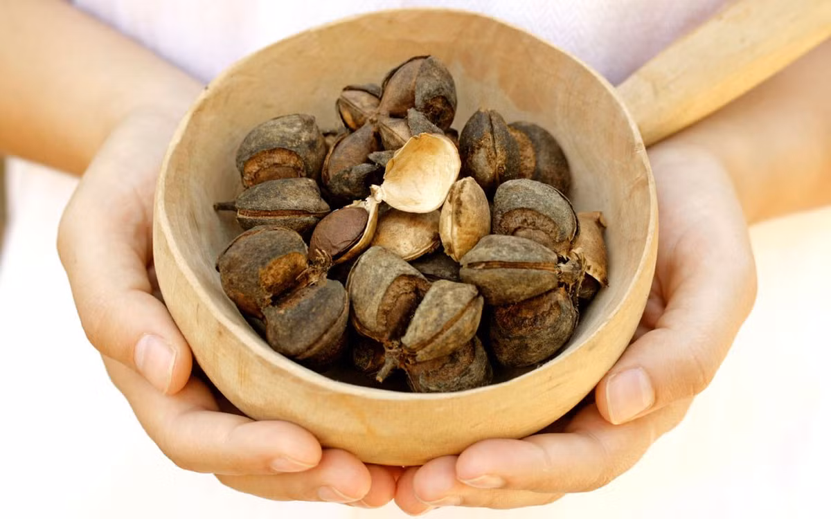 Loại dầu từ hạt sachi là thực phẩm bổ sung hoàn hảo cho những người không ăn cá hoặc không cung cấp đủ dầu Omega trong khẩu phần ăn hàng ngày.