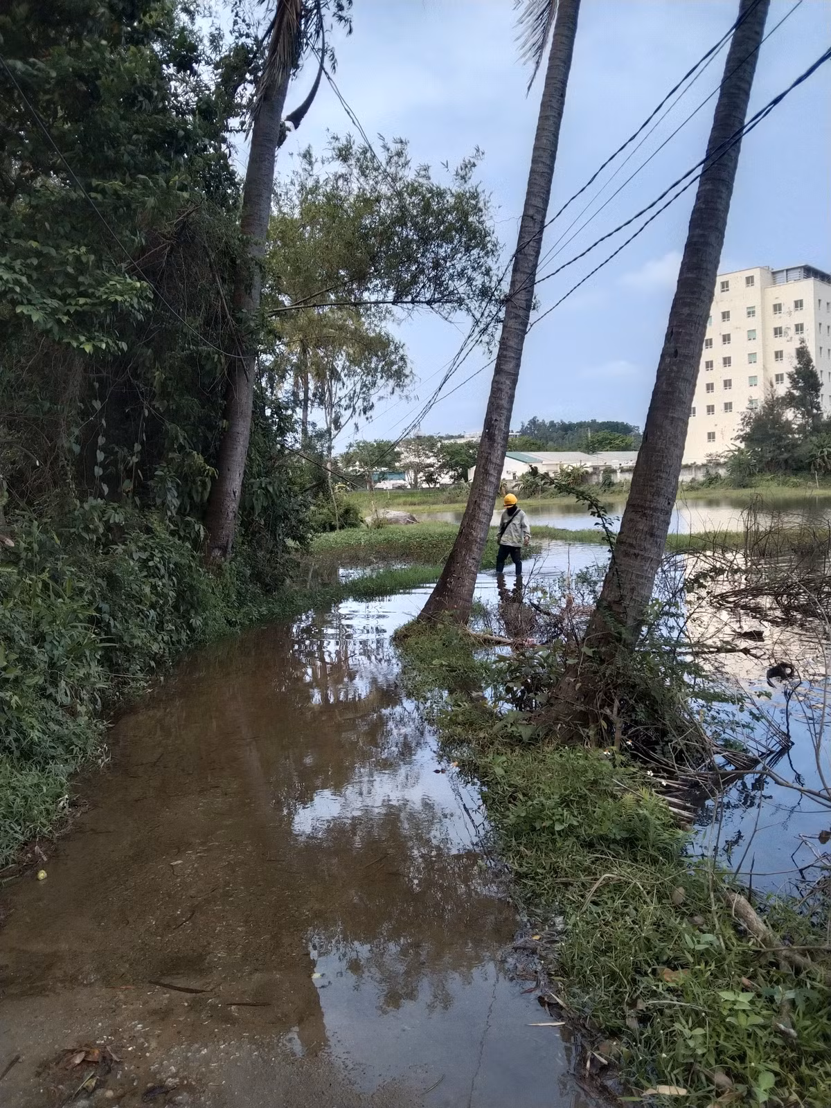 Quang Ngai: Dan keo len nha may thep Hoa Phat keu cuu vi ngap nuoc-Hinh-2