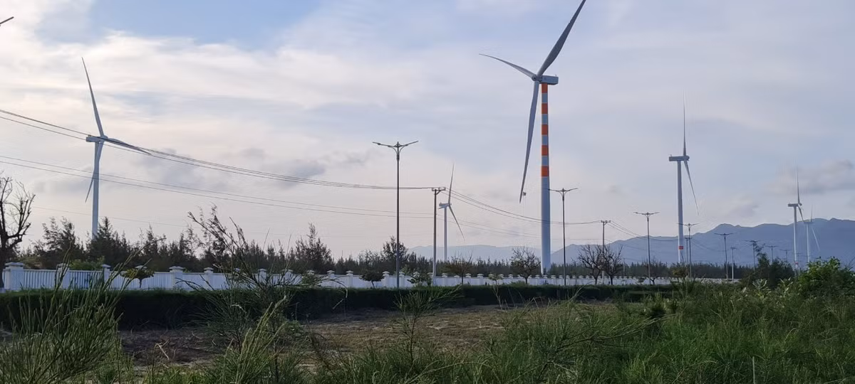 Khung cảnh hoang sơ nơi đây hớp hồn biết bao du khách khi về miền đất võ.