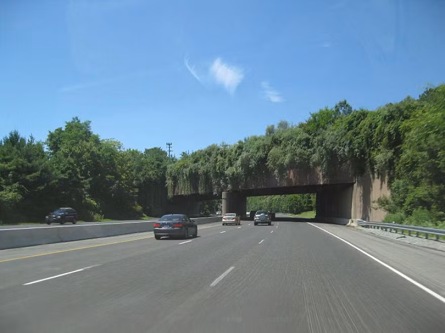 Cầu vượt ở New Jersey. (Nguồn Bored Panda)