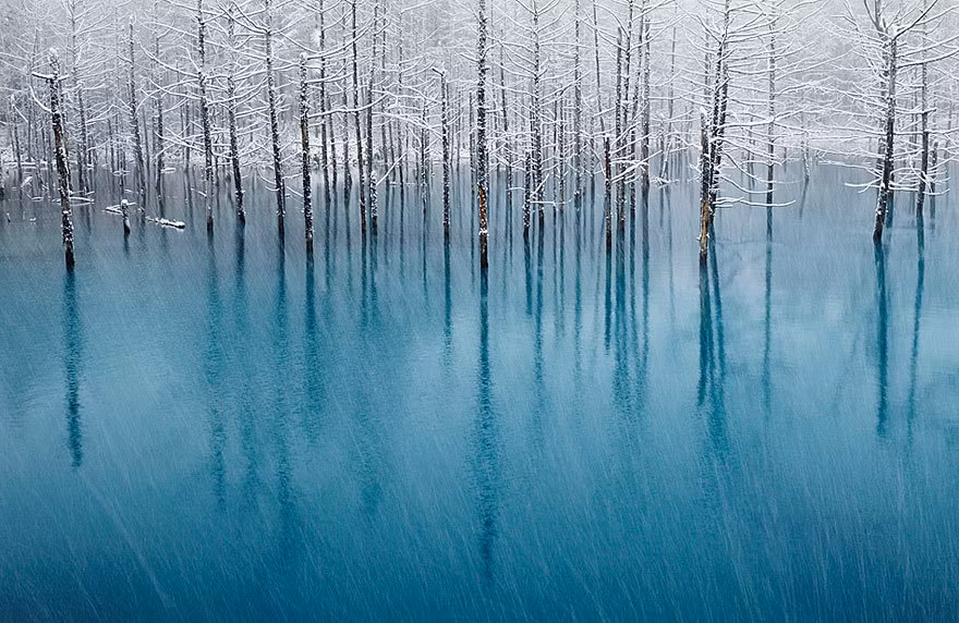 Khi hồ nước ở Nhật Bản đóng băng, nó sẽ tạo ra cảnh tượng thiên nhiên đẹp ảo diệu và khó tin như thế này. (Nguồn Brilio)