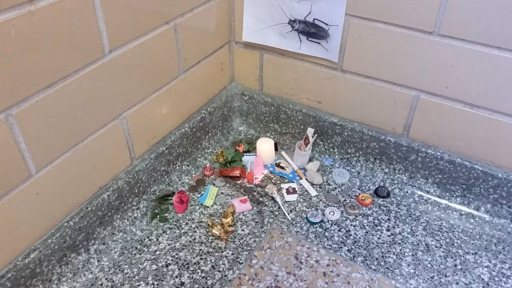Từ từ gia tăng có cả một ngọn nến, đồ ngọt và nắp chai. (Nguồn Brilio)