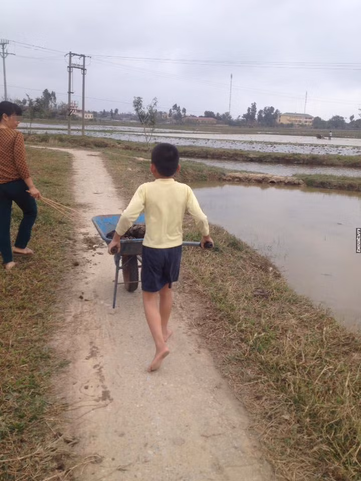 Phat hoang me bat con... boc phan trau bo vi khong thich di hoc-Hinh-2