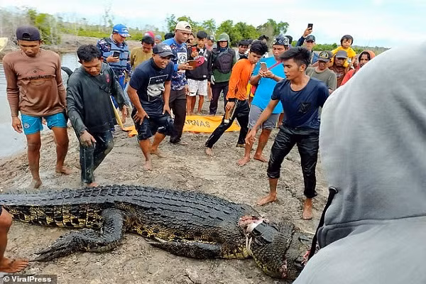 Rung minh ca sau khong lo an thit nguoi phu nu di cau