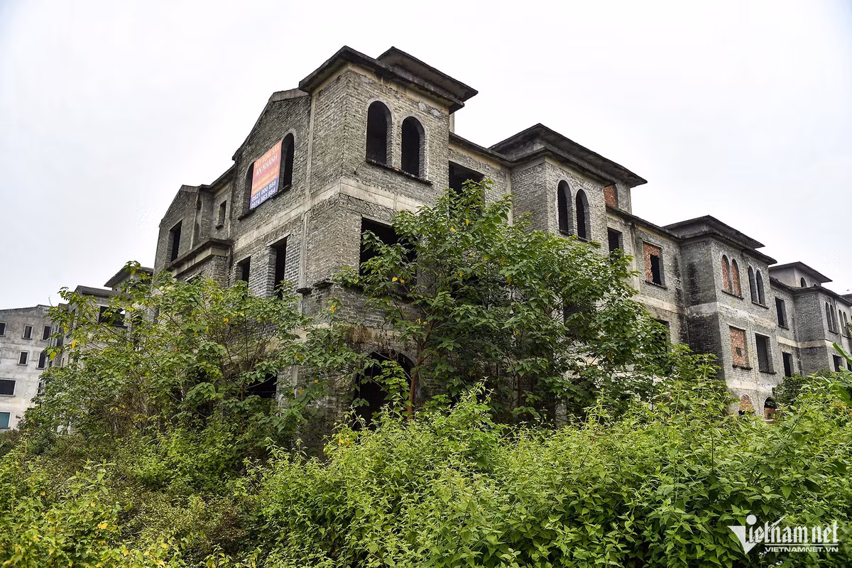 Ha Noi: Hang chuc biet thu bo hoang lam noi trong rau, nuoi ca-Hinh-6