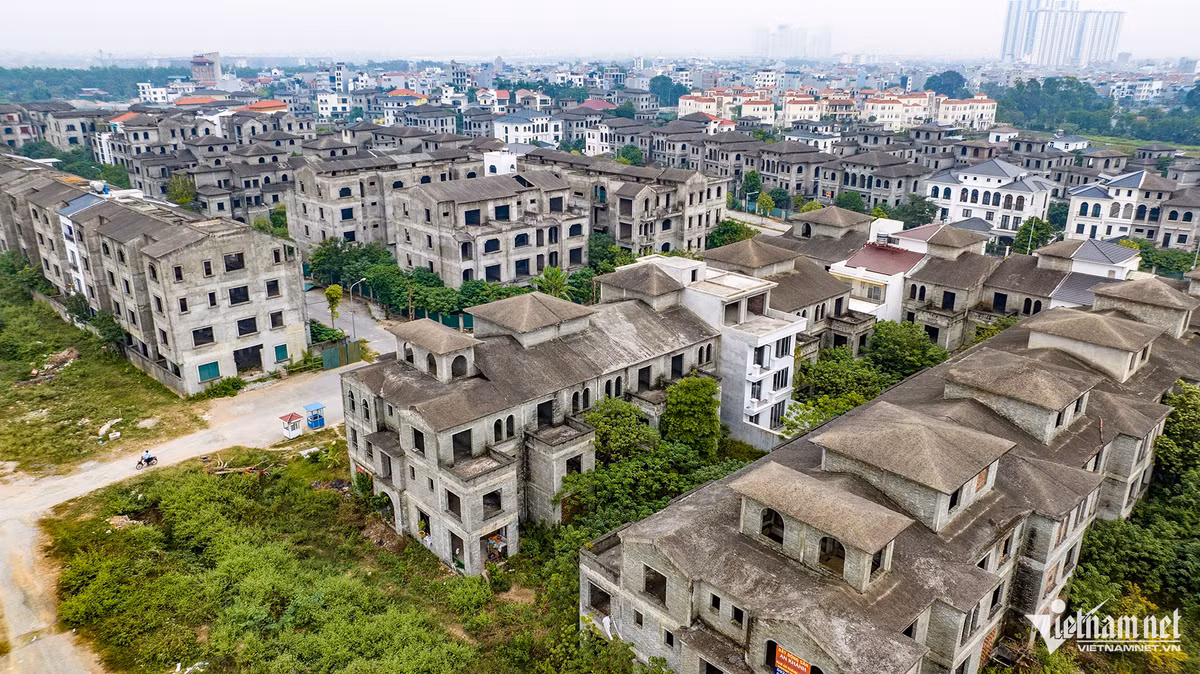 Ha Noi: Hang chuc biet thu bo hoang lam noi trong rau, nuoi ca-Hinh-5