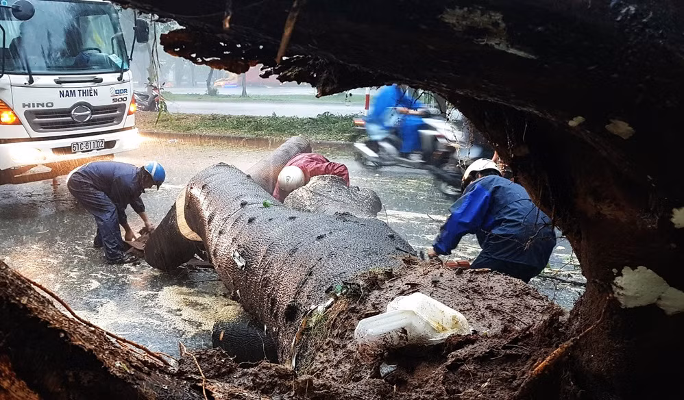 Chuyện ngâp lụt không những là điều quá quen thuộc ở Hà Nội mà còn ở TP HCM mỗi mùa mưa. Ảnh: Ông Nguyễn Văn Tân (58 tuổi, quê Đồng Tháp, tạm trú ở quận 7, TP.HCM) đi xe máy trên đường Nguyễn Văn Linh bị một cây xanh đường kính 2,3 m đè trúng. Nạn nhân được đưa đi cấp cứu nhưng hơn 30 phút sau đã tử vong trong đợt mưa cuối năm 2018.