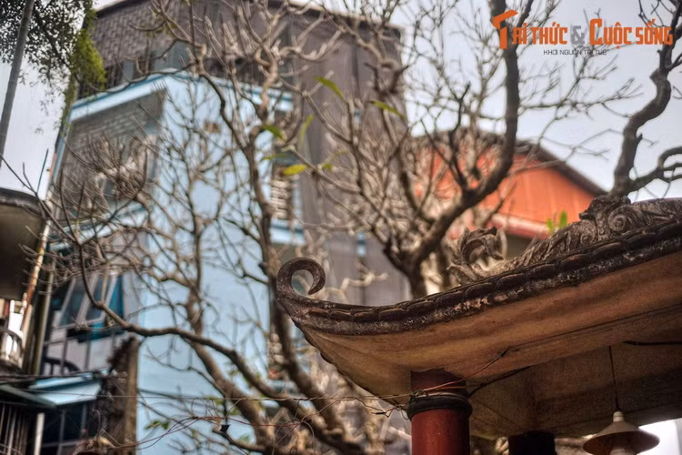 Với sự thông minh vốn có, Ngọc Hoa đã ghi nhớ vị trí những kho lương thực, vũ khí, đường đi lối lại… ở khu vực địch đóng quân, đồng thời ước lượng về sức mạnh của chúng.