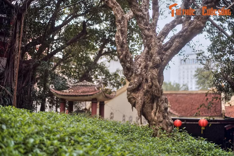 Trên đường khải hoàn, Ngọc Hoa không bệnh mà mất. Thái úy lệnh cho tướng quân Trần Ngọc Tường đưa thi hài cô bé về an táng tại làng Đại Bi.