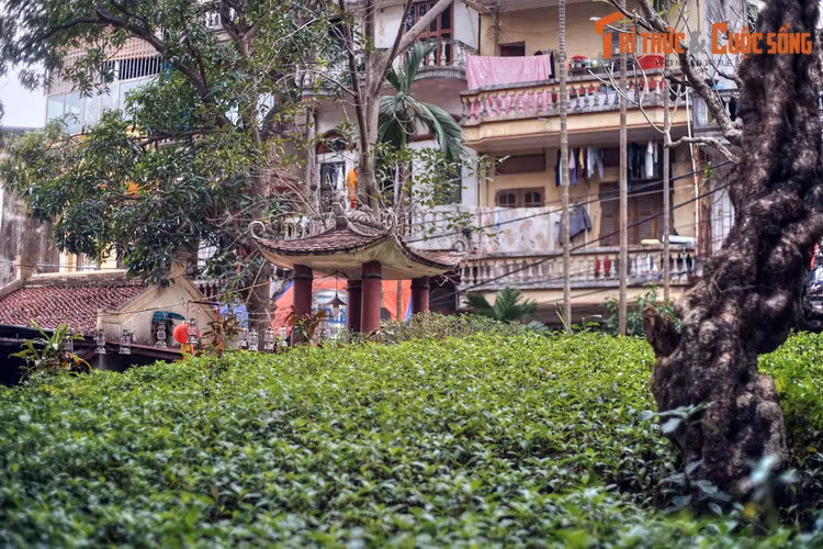 Trên cơ sở thông tin có được từ Ngọc Hoa, Thái úy Lý Thường Kiệt đã họp các tướng và giao nhiệm vụ rồi định giờ xuất quân. Dưới sự chỉ dẫn của cô gái nhỏ, quân ta đại thắng, giặc Chiêm bị đẩy lùi khỏi bờ cõi.