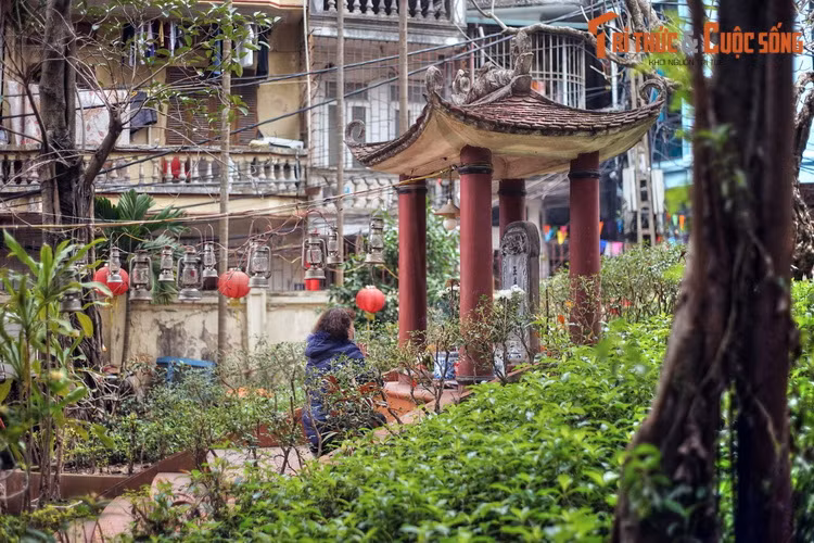 Năm 1103, Chiêm Thành đem quân xâm lược biên giới phía Nam. Ngọc Hoa, khi đó mới 9 tuổi, đã giả trai để dự kỳ tuyển binh và được cùng cha đi dẹp giặc xâm lấn bờ cõi.