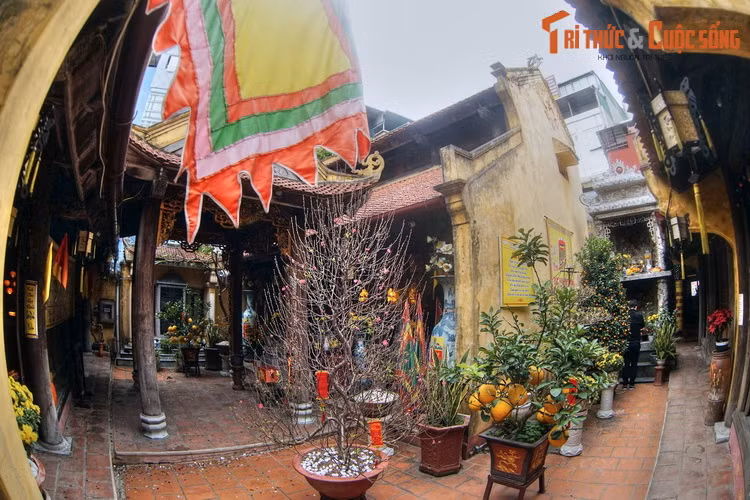 Thấy nàng đối đáp linh hoạt, thông minh lại xinh đẹp, đoan trang, nhà vua bèn rước nàng về cung Động Tiên thuộc phường Kim Cổ, huyện Thọ Xương và đặt tên là Ỷ Lan.