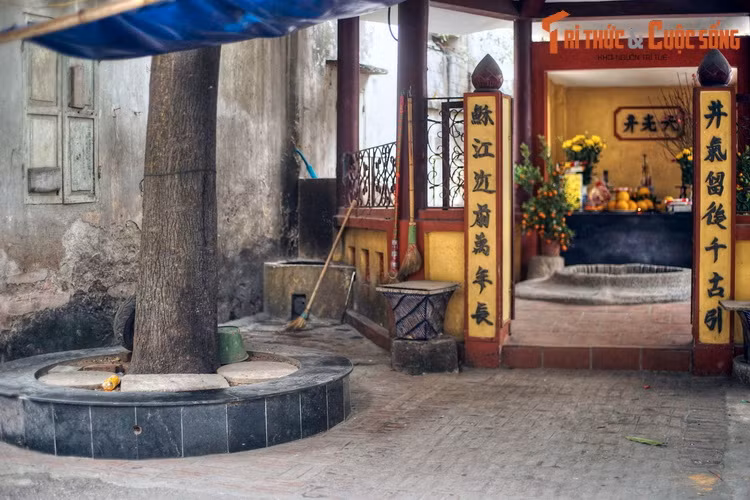 Trước kia bên giếng có một gốc hoa sữa cổ thụ rất lớn, được cho là gắn liền với sự nhiệm màu của tục xin sữa. Cây già cỗi và chết đi, người làng đã trồng một cây hoa sữa mới để thay thế.