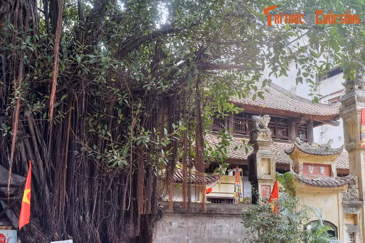 Đền nằm ngay cạnh tháp Báo Thiên của chùa Báo Thiên nổi tiếng Kinh thành Thăng Long một thuở. Thời giặc Minh xâm chiếm Thăng Long, chùa và tháp Bái Thiên đã bị tàn phá nặng nề.