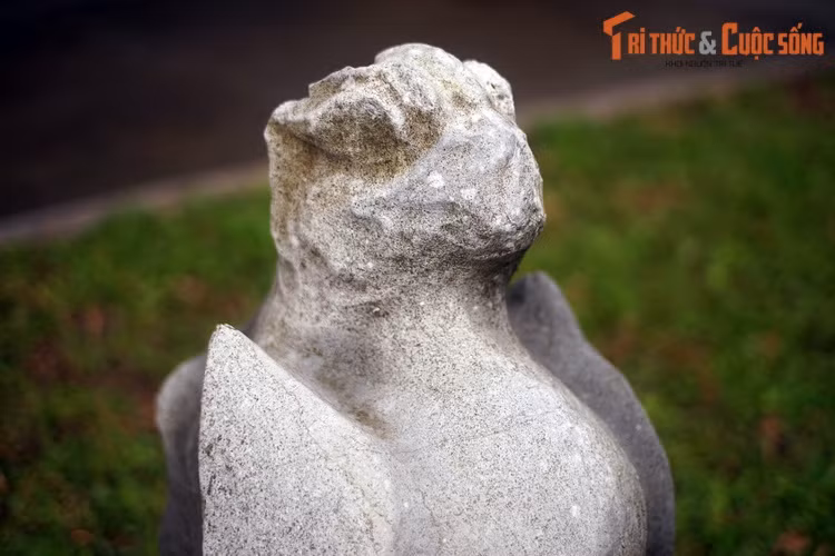 Nếu Phượng Hoàng được coi là chúa tể của các loài chim, thường được liên hệ với nữ nhân trong hoàng tộc thời phong kiến, thì Chu Tước lại mang vai trò của một sinh vật thần thoại trong thiên văn học cổ.