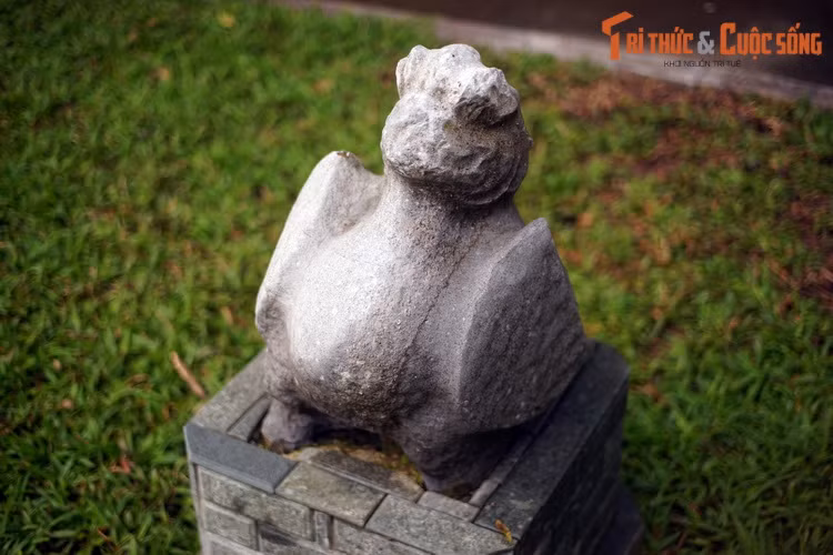 Trong đó Tỉnh tượng hình mỏ chim, Quỷ tượng hình mào chim, Liễu tượng hình diều chim, Tinh tượng hình cổ chim, Trương tượng hình bụng chim, Dực tượng hình cánh chim, Chẩn tượng hình đuôi chim...